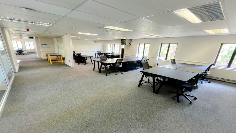 To Let Commercial Property for Rent in Parktown Gauteng