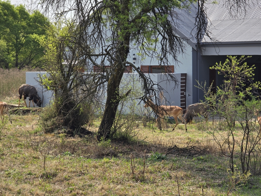 0 Bedroom Property for Sale in Waterlake Farm Lifestyle Estate Gauteng