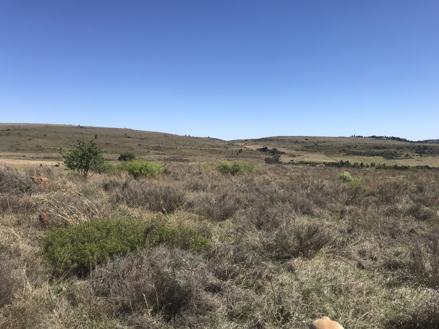 0 Bedroom Property for Sale in Hartzenbergfontein Gauteng