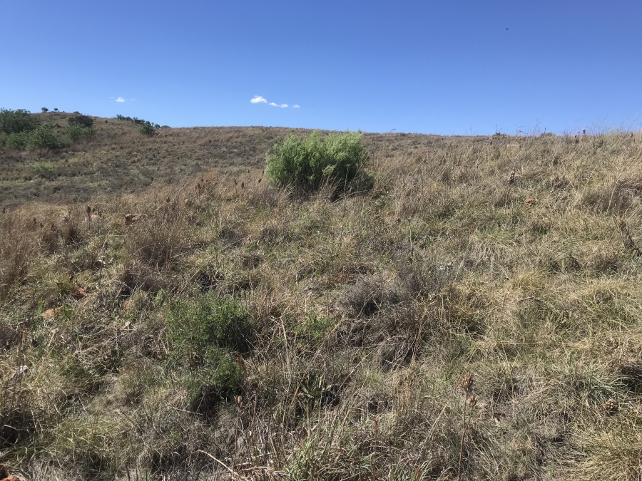 0 Bedroom Property for Sale in Hartzenbergfontein Gauteng