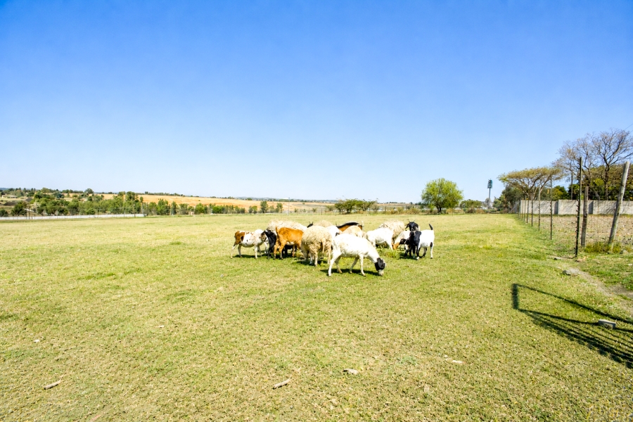 3 Bedroom Property for Sale in Millgate Farm AH Gauteng