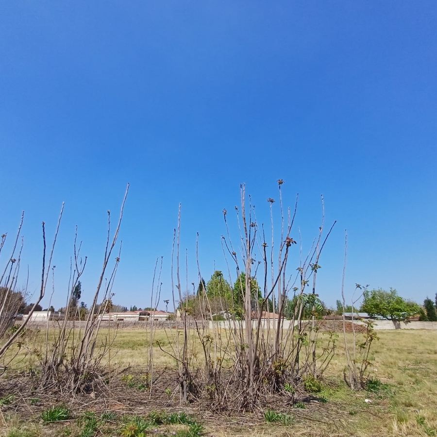 0 Bedroom Property for Sale in Henley on Klip Gauteng
