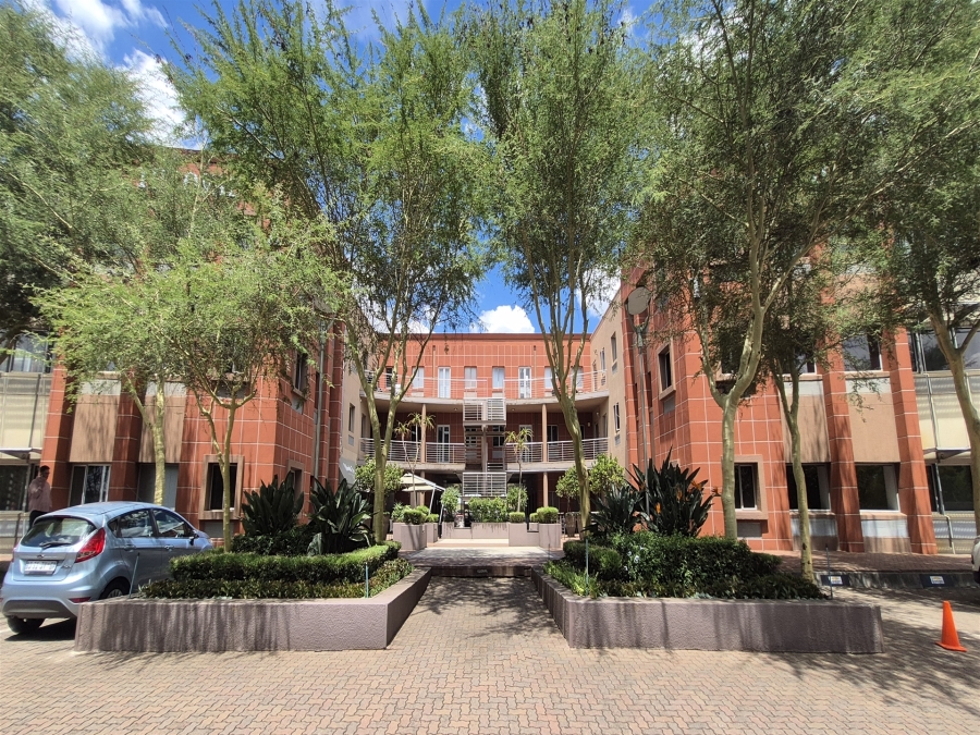 To Let Commercial Property for Rent in Illovo Gauteng