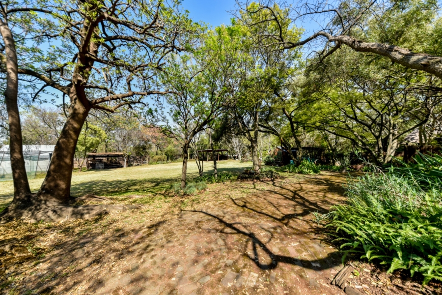 4 Bedroom Property for Sale in Sun Valley Gauteng