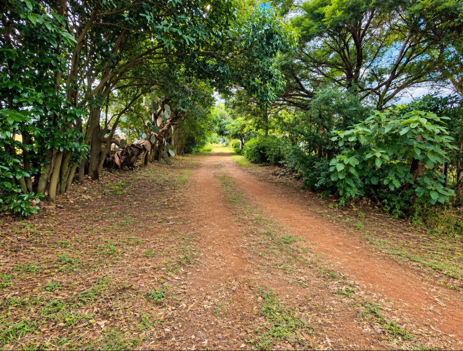 4 Bedroom Property for Sale in Ironsyde A H Gauteng
