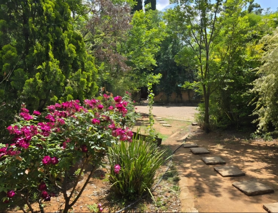 10 Bedroom Property for Sale in Walkerville Gauteng