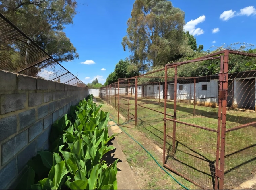 10 Bedroom Property for Sale in Walkerville Gauteng