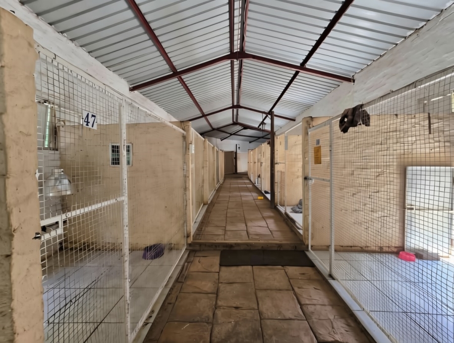 10 Bedroom Property for Sale in Walkerville Gauteng
