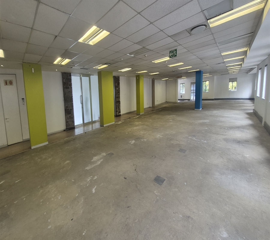 To Let Commercial Property for Rent in Illovo Gauteng