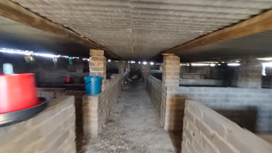 3 Bedroom Property for Sale in Tenacre A H Gauteng