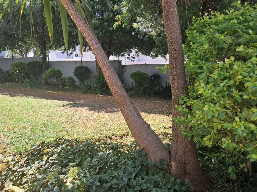 To Let 1 Bedroom Property for Rent in Lonehill Gauteng