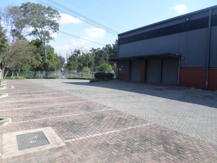 To Let Commercial Property for Rent in Bryanston Gauteng