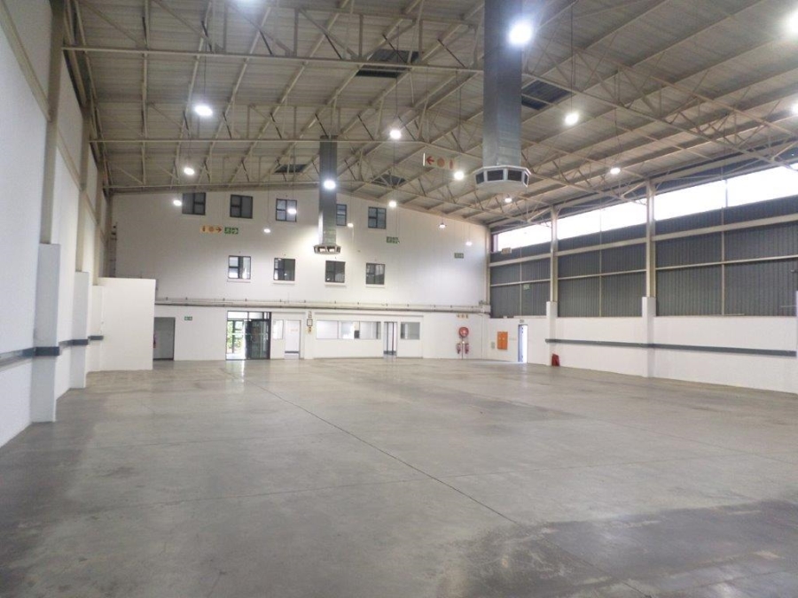 To Let Commercial Property for Rent in Bryanston Gauteng