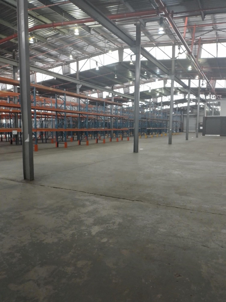 To Let Commercial Property for Rent in City Deep Gauteng