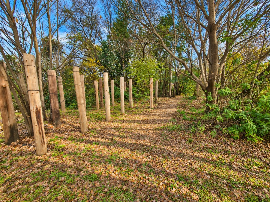 0 Bedroom Property for Sale in Rothdene Gauteng