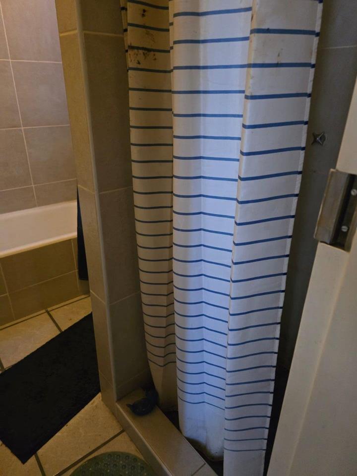 3 Bedroom Property for Sale in Parktown Estate Gauteng