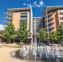 To Let Commercial Property for Rent in Arcadia Gauteng
