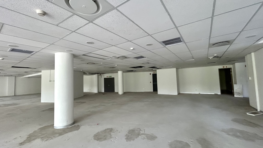 To Let Commercial Property for Rent in Arcadia Gauteng