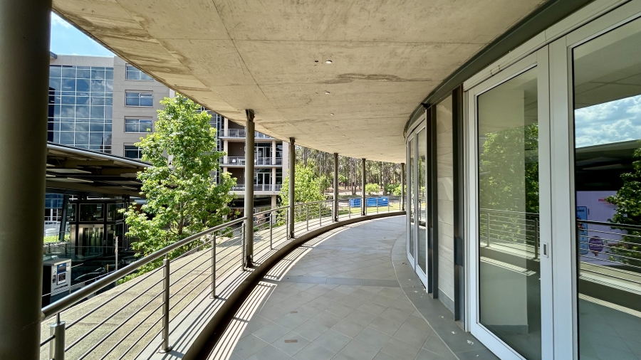 To Let Commercial Property for Rent in Arcadia Gauteng