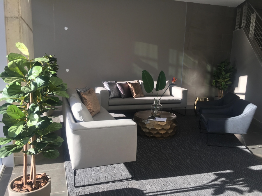 To Let Commercial Property for Rent in Arcadia Gauteng