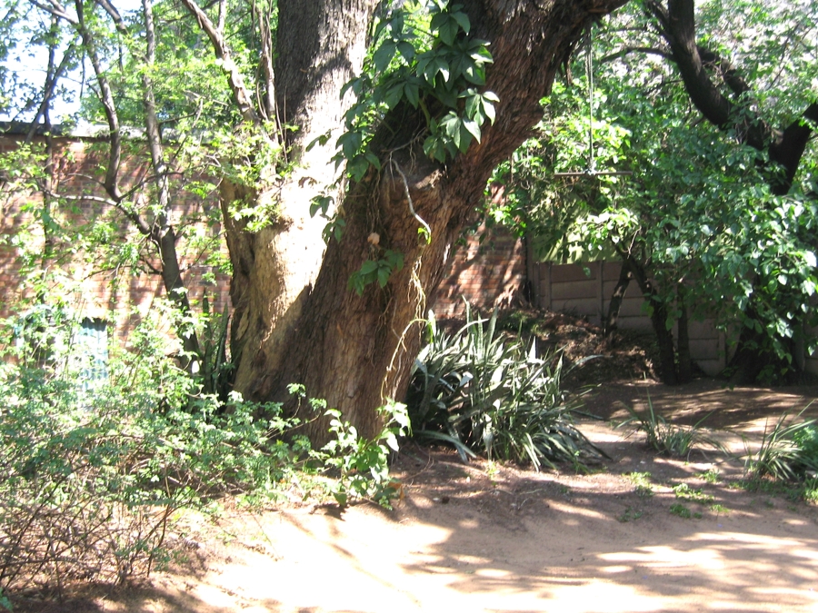 3 Bedroom Property for Sale in Capital Park Gauteng