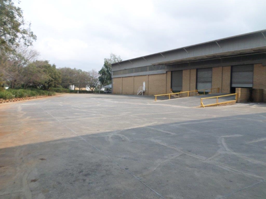 To Let Commercial Property for Rent in Longmeadow Gauteng