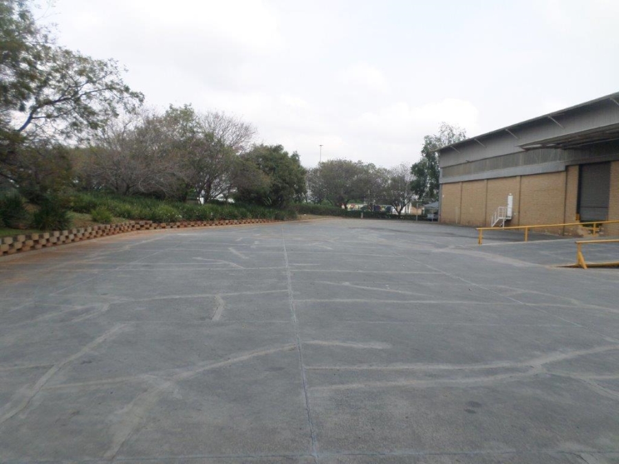 To Let Commercial Property for Rent in Longmeadow Gauteng