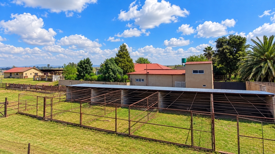 4 Bedroom Property for Sale in Rietspruit Gauteng