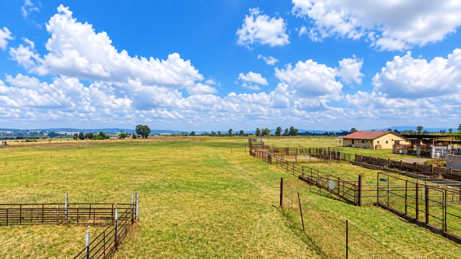 4 Bedroom Property for Sale in Rietspruit Gauteng