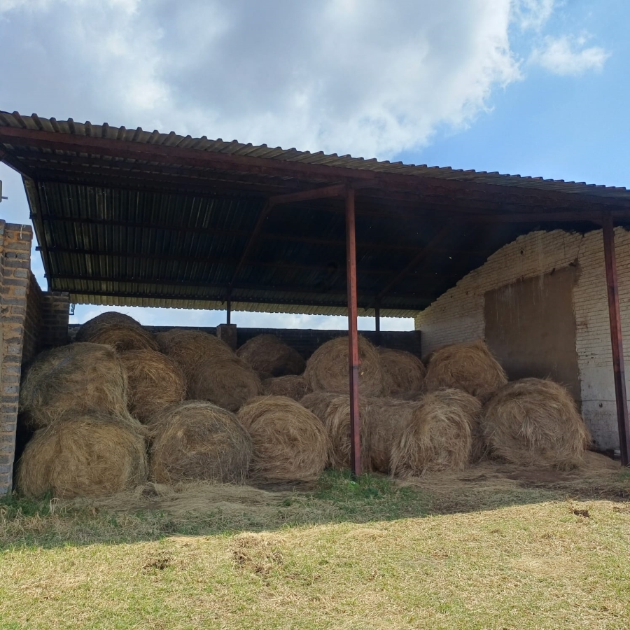 4 Bedroom Property for Sale in Rietspruit Gauteng