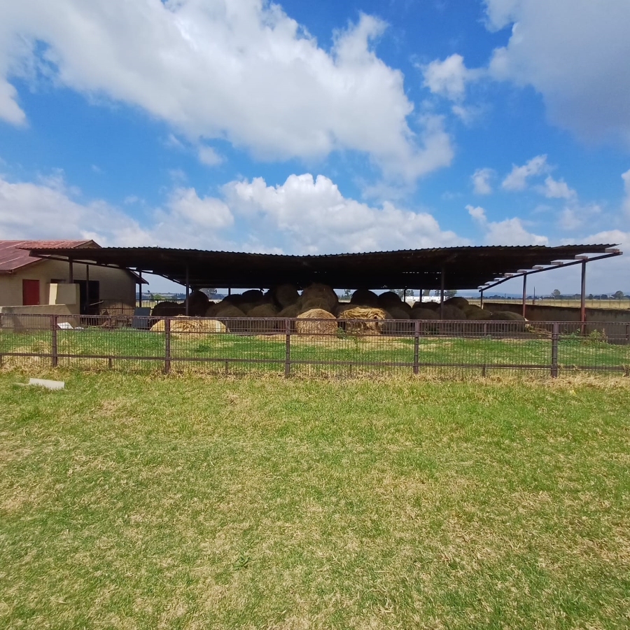 4 Bedroom Property for Sale in Rietspruit Gauteng