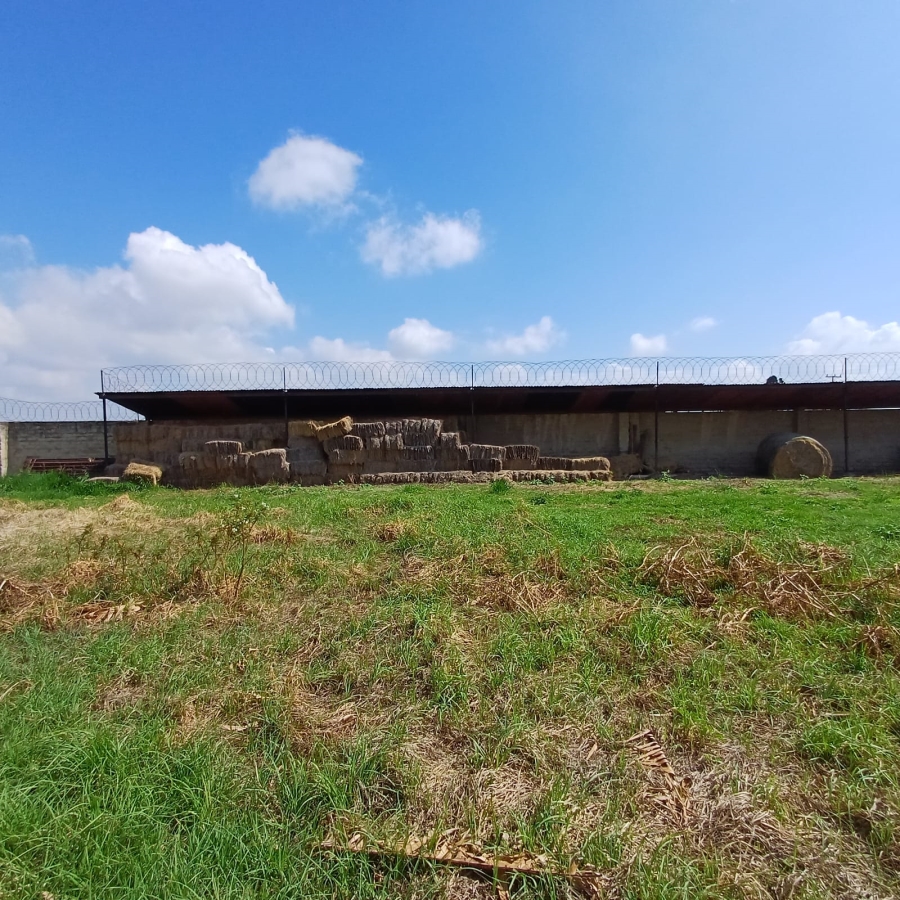 4 Bedroom Property for Sale in Rietspruit Gauteng