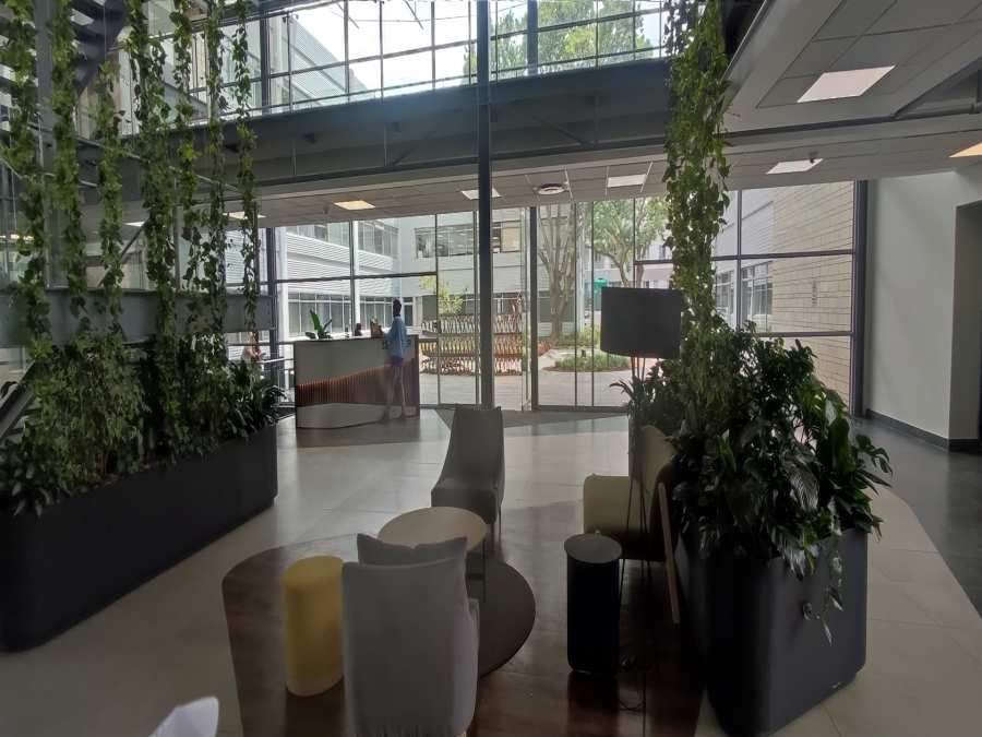 To Let Commercial Property for Rent in Illovo Gauteng
