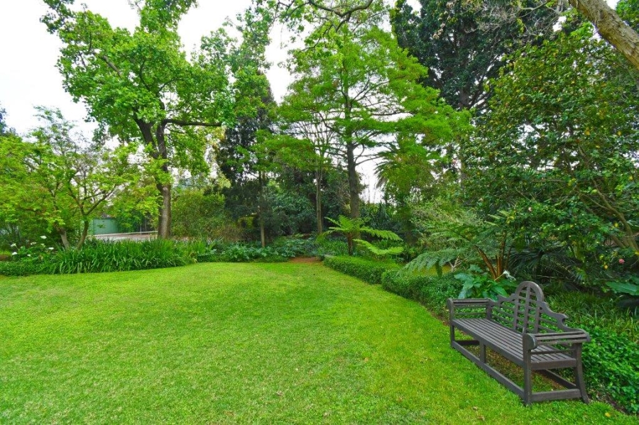 To Let 5 Bedroom Property for Rent in Dunkeld Gauteng