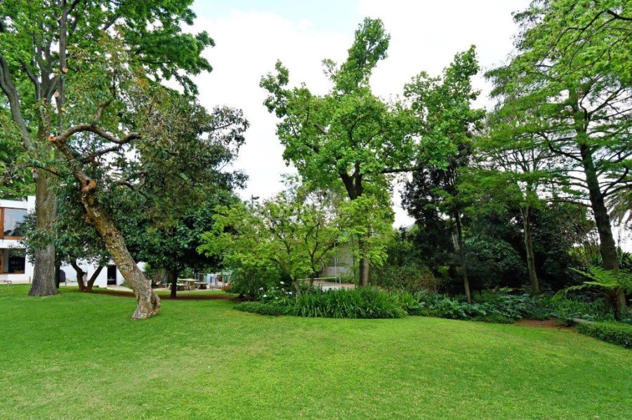 To Let 5 Bedroom Property for Rent in Dunkeld Gauteng