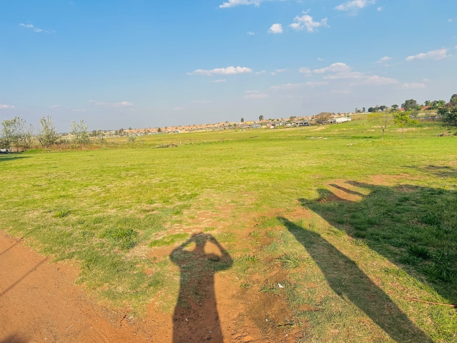 6 Bedroom Property for Sale in Twala Gauteng