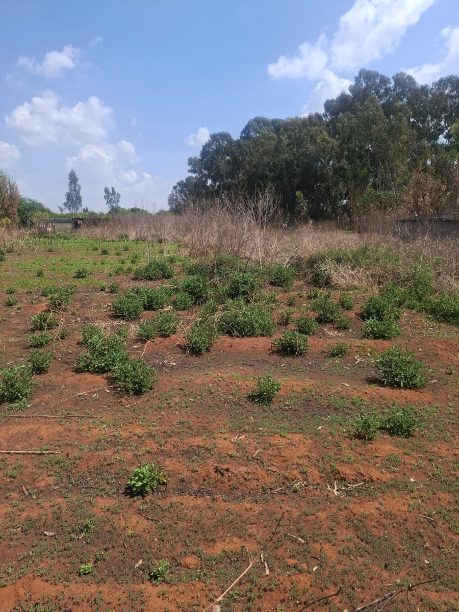 0 Bedroom Property for Sale in Benoni AH Gauteng