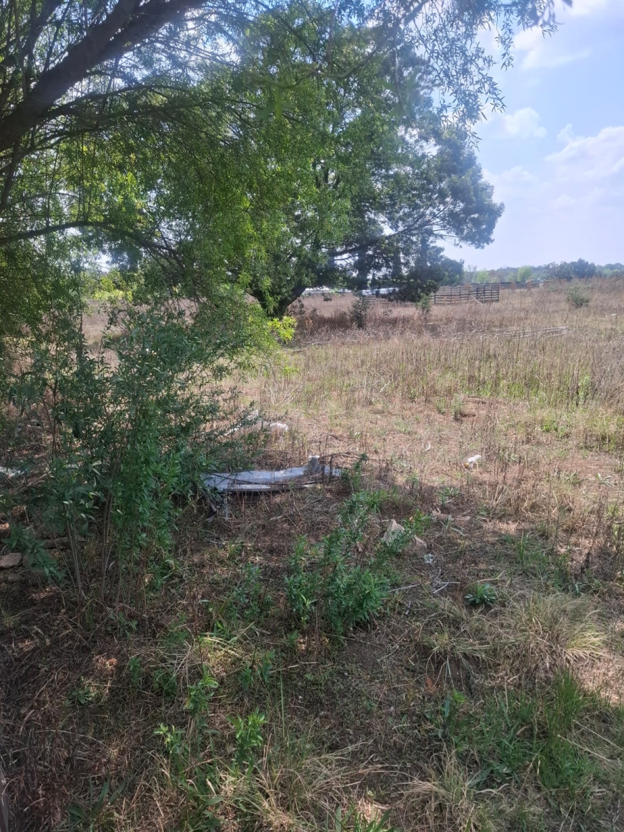0 Bedroom Property for Sale in Vlakfontein Gauteng