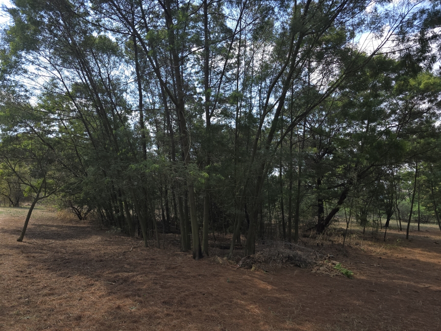 0 Bedroom Property for Sale in Zwavelpoort Gauteng