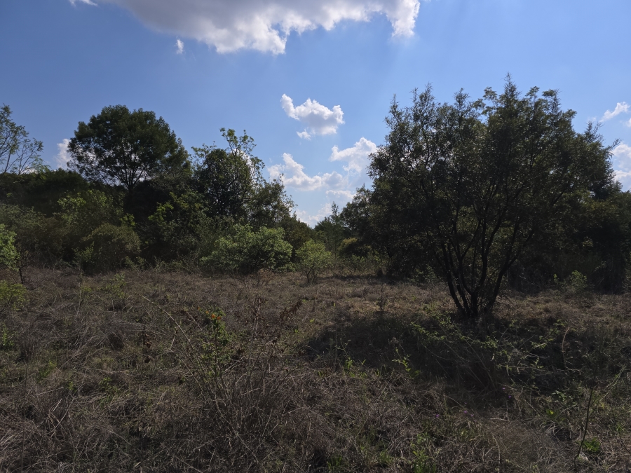 0 Bedroom Property for Sale in Zwavelpoort Gauteng