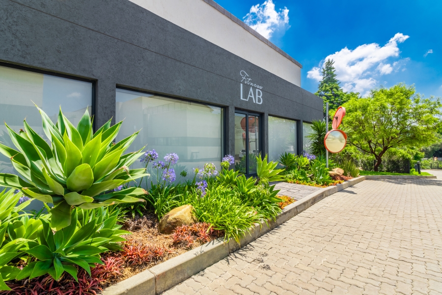 To Let 3 Bedroom Property for Rent in Bryanston Gauteng
