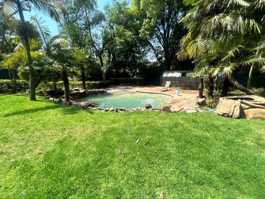 To Let 4 Bedroom Property for Rent in Houghton Estate Gauteng