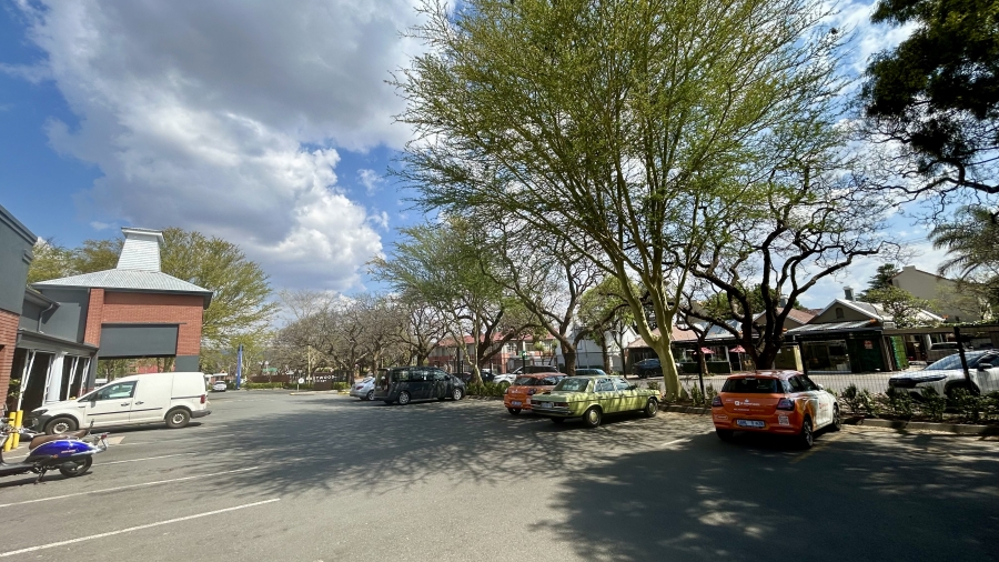To Let Commercial Property for Rent in Arcadia Gauteng