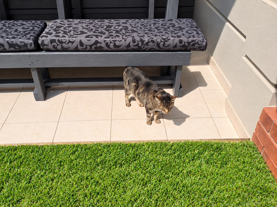 To Let 2 Bedroom Property for Rent in Craigavon Gauteng
