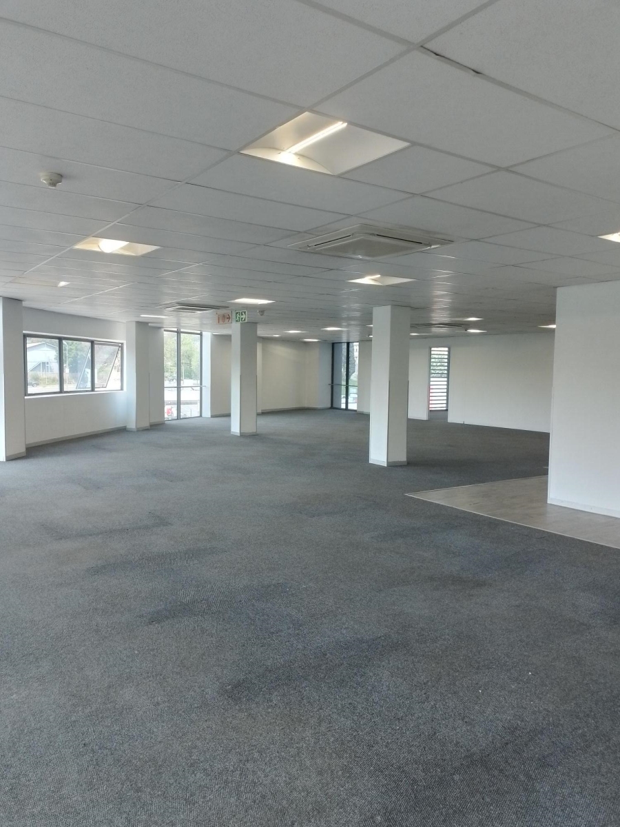 To Let Commercial Property for Rent in Parktown Gauteng
