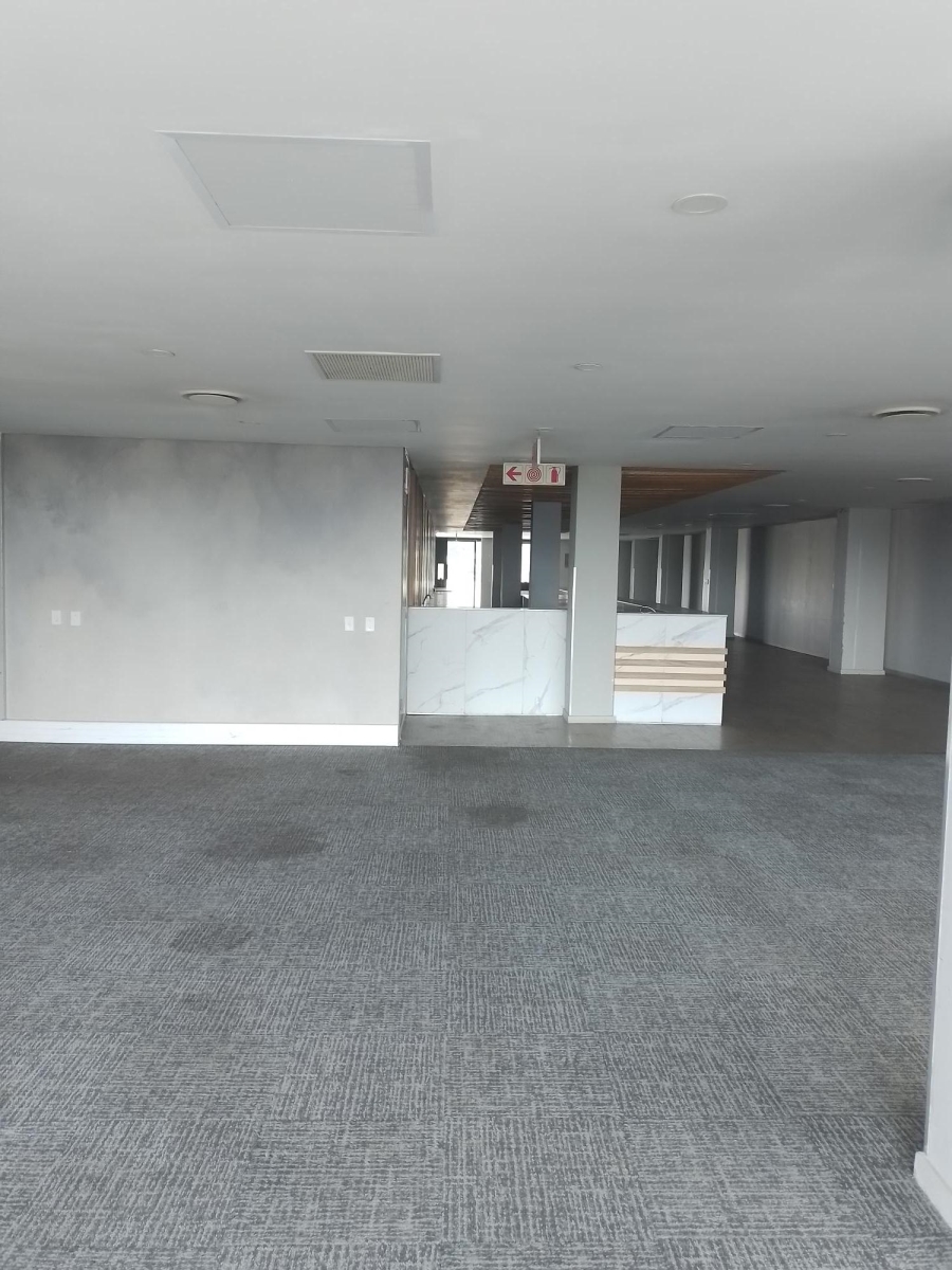 To Let Commercial Property for Rent in Parktown Gauteng
