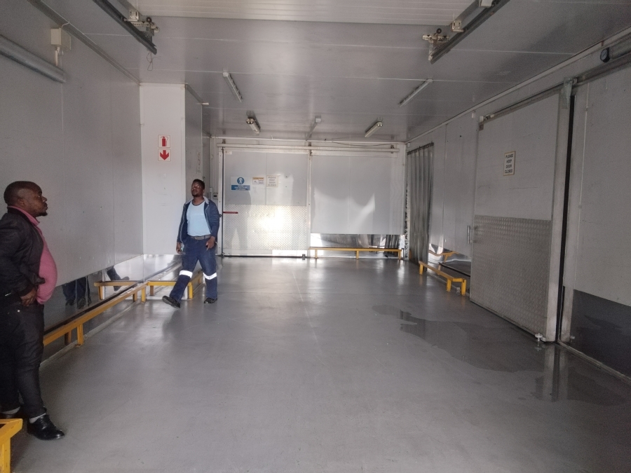 To Let Commercial Property for Rent in City Deep Gauteng
