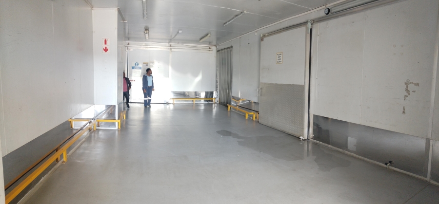 To Let Commercial Property for Rent in City Deep Gauteng