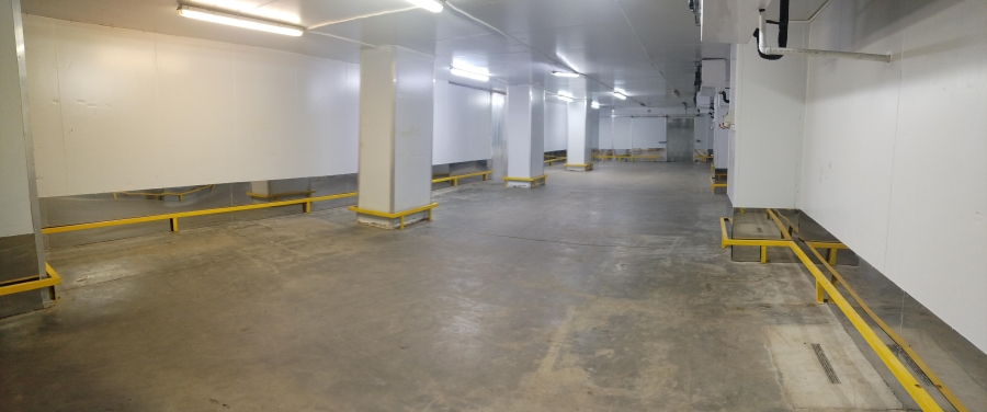To Let Commercial Property for Rent in City Deep Gauteng