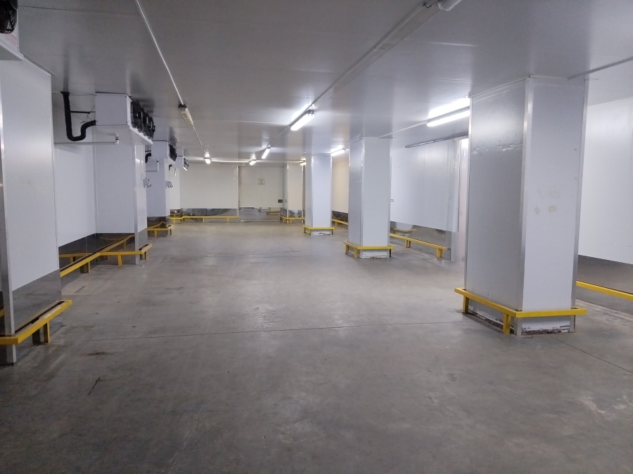 To Let Commercial Property for Rent in City Deep Gauteng